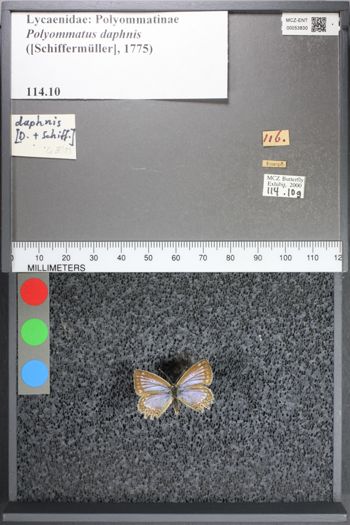 Media type: image;   Entomology 53830